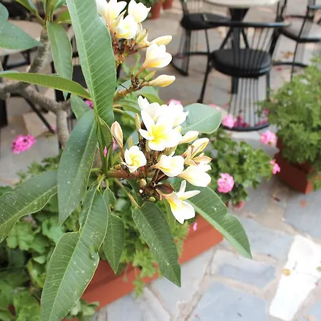 Hotel Esperides 2*